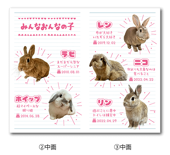 2つ折り型抜きペット名刺の中面画像