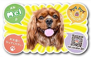 犬のペット名刺