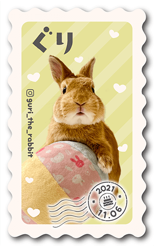 型抜きペット名刺の表面画像