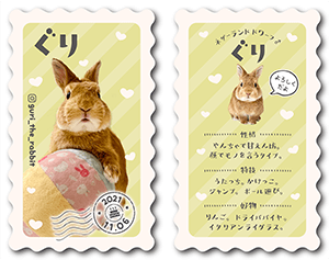 犬のペット名刺