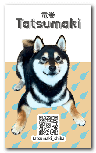 犬のペット名刺画像