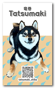 犬のペット名刺