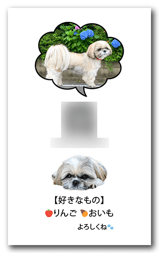 ペット名刺の裏面画像