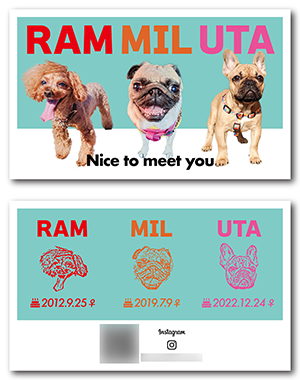 犬のペット名刺