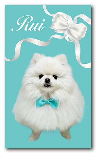 長方形ペット名刺の表面画像