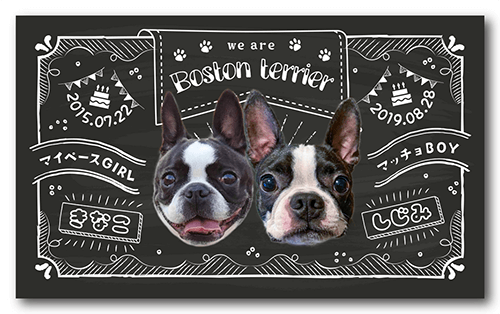 長方形ペット名刺の表面画像