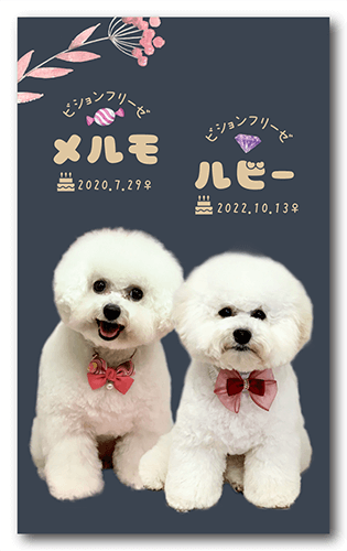 ペット名刺の表面画像