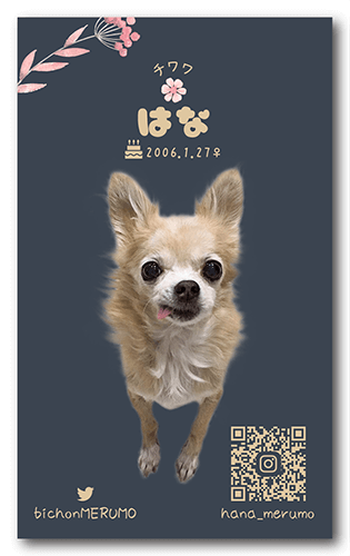 ペット名刺の裏面画像