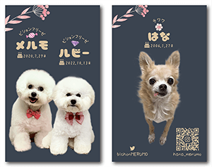 犬のペット名刺