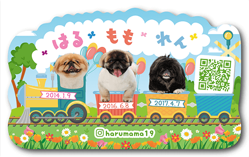 ペット名刺画像