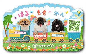 犬（多頭飼い）のペット名刺