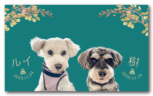 ペット名刺の表面画像