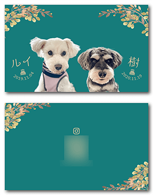 猫のペット名刺