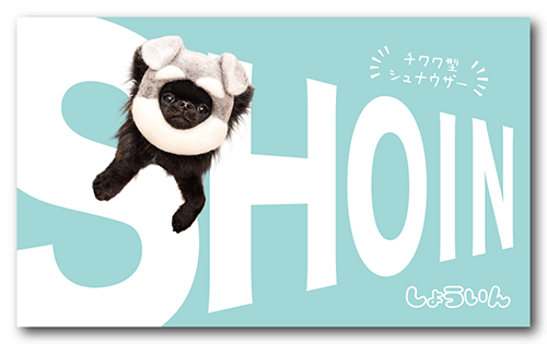 ペット名刺の表面画像