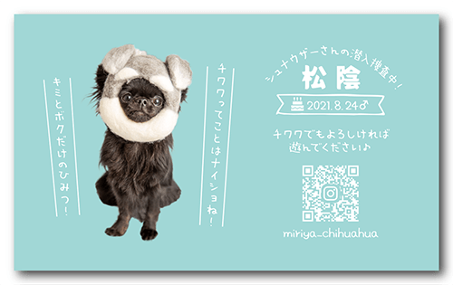 ペット名刺の裏面画像
