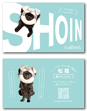 猫のペット名刺