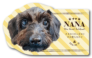 犬のペット名刺