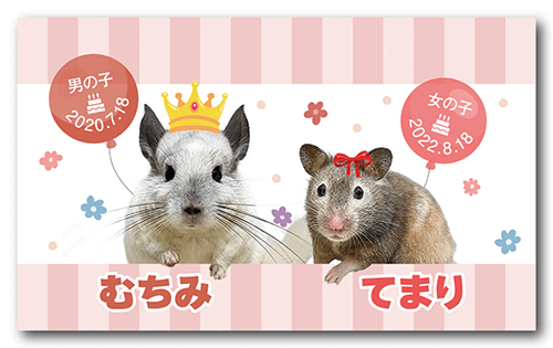 長方形ペット名刺の表面画像