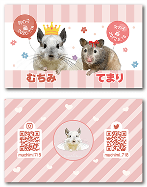 チンチラとハムスターのペット名刺