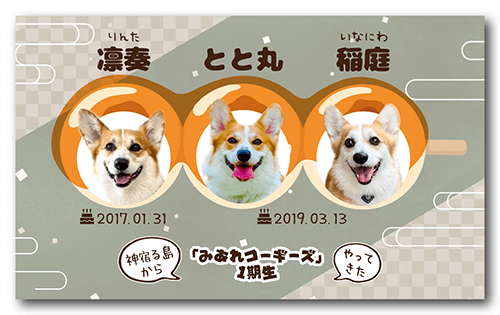 長方形ペット名刺の表面画像