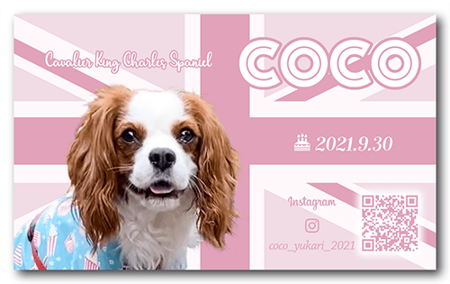 犬の長方形ペット名刺画像