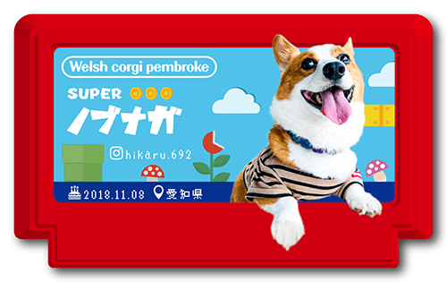 ペット名刺画像