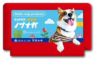 犬のペット名刺