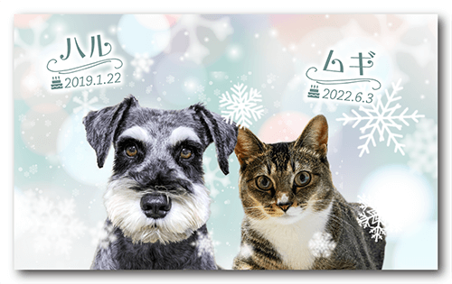 ペット名刺の表面画像