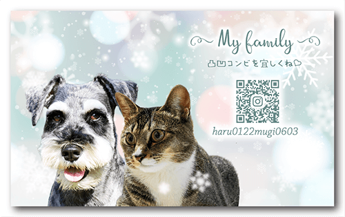 ペット名刺の裏面画像