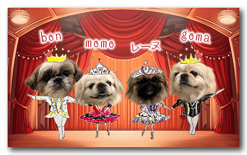 ペット名刺の表面画像