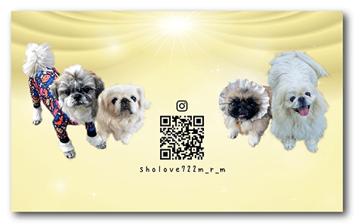 ペット名刺の裏面画像