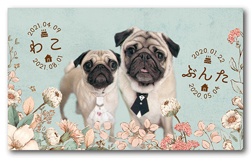 長方形ペット名刺の表面画像