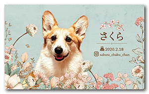 犬のペット名刺