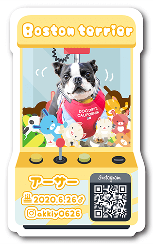 型抜きペット名刺の表面画像