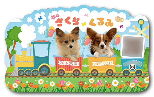 ペット名刺画像