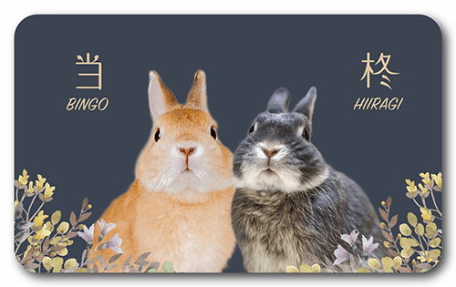 ペット名刺の表面画像