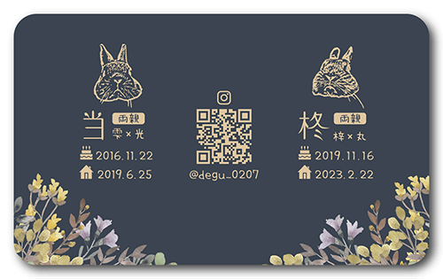 ペット名刺の裏面画像