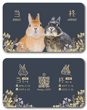 犬のペット名刺