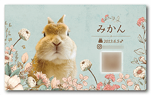 犬のペット名刺