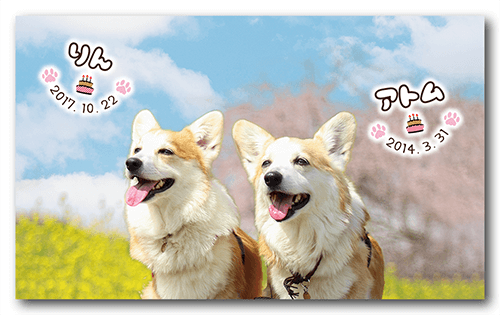 長方形ペット名刺の表面画像