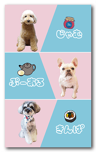 長方形ペット名刺の表面画像