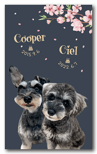 ペット名刺の表面画像