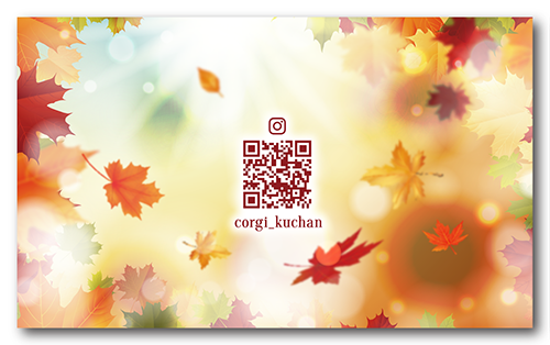 ペット名刺の裏面画像