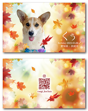 犬のペット名刺