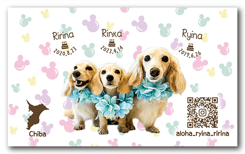 ペット名刺の裏面画像