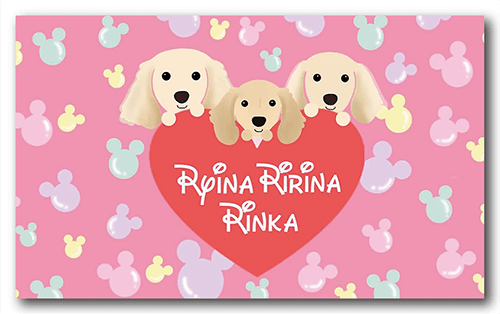 ペット名刺の表面画像