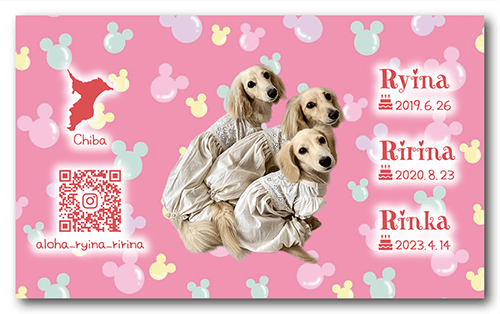 ペット名刺の裏面画像