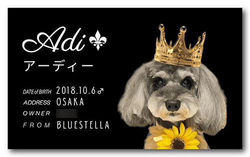 長方形ペット名刺の表面画像