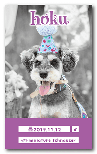 ペット名刺の表面画像