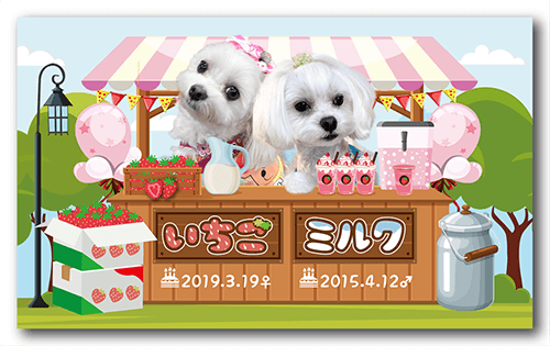 長方形ペット名刺の表面画像